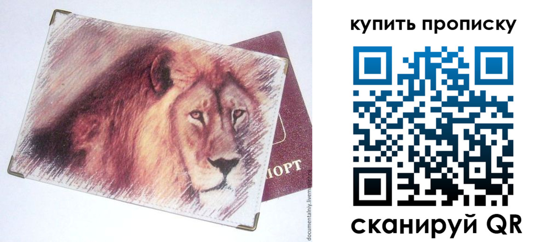 прописка паспорт в Зуевке